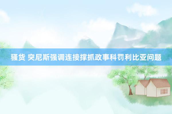骚货 突尼斯强调连接撑抓政事科罚利比亚问题