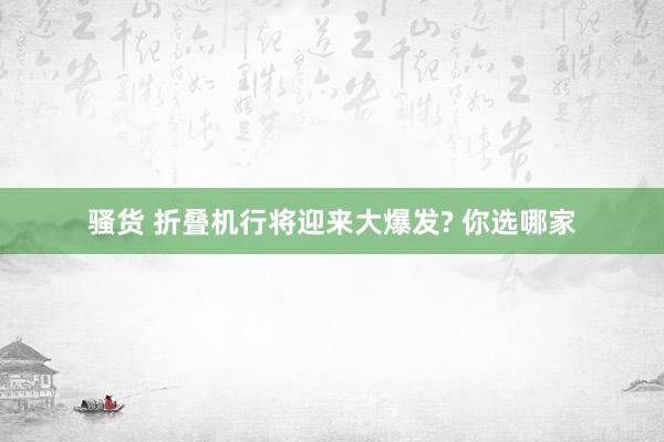 骚货 折叠机行将迎来大爆发? 你选哪家