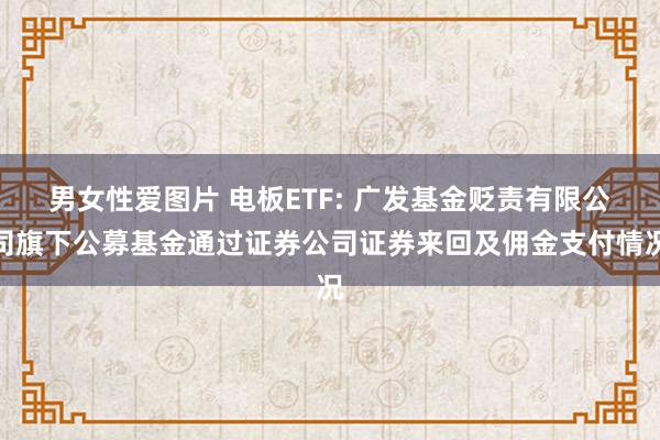 男女性爱图片 电板ETF: 广发基金贬责有限公司旗下公募基金通过证券公司证券来回及佣金支付情况