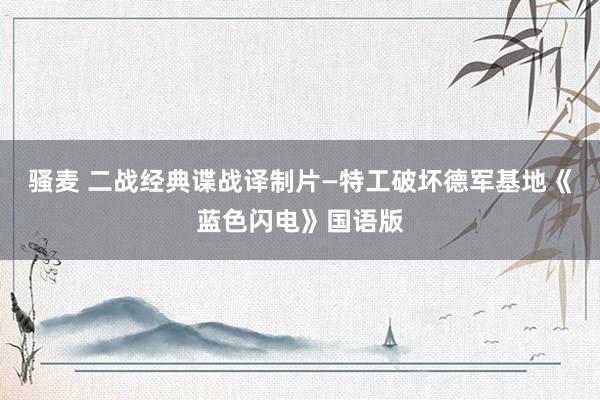 骚麦 二战经典谍战译制片—特工破坏德军基地《蓝色闪电》国语版